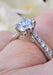 Beautifully raised solitaire diamond ring at Oster Jewelers | OsterJewelers.com