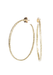 Dominique Cohen 18K Yellow Gold Textured Hoop Earrings | OsterJewelers.com