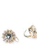 Erica Courtney 18KRG Diamond & Zultanite Drop Earrings | OsterJewelers.com