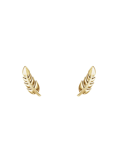 14K Yellow Gold Leaf Stud Earrings | OsterJewelers.com