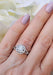 Split Shank Round Brilliant Diamond Engagement  Ring at OsterJewelers.com