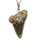 Borgioni 18K White Gold Diamond Shark Tooth Necklace | Cherry Creek North | OsterJewelers.com