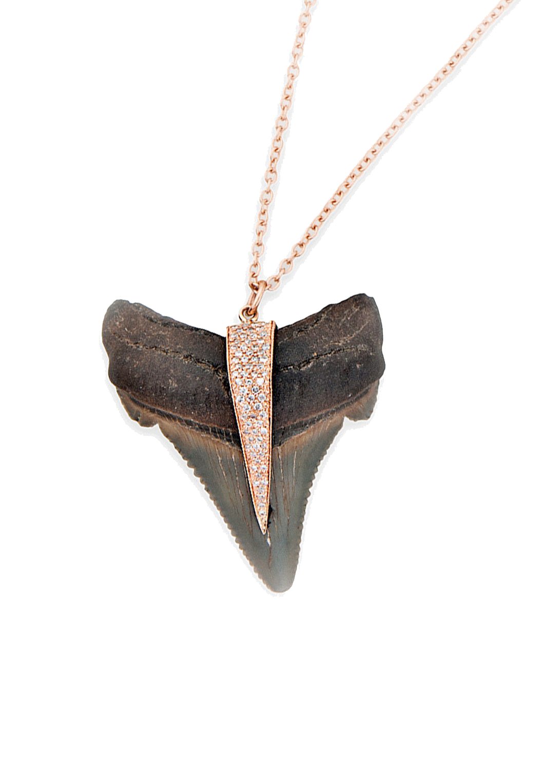 Jacquie Aiche 14KRG Diamond Shark Tooth Pendant on Leather Cord Jacquie Aiche 14KRG Diamond Shark Tooth Pendant on Leather Cord