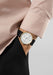 NOMOS Tangente Gold Neomatik 38 Update on the wrist | Ref. 195 | Denver Watches | OsterJewelers.com