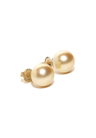 Pearls Golden South Sea Pearl Stud Earrings | OsterJewelers.com