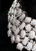 Antonini Malibu White Gold Pave Pollana Necklace | Oster Jewelers