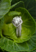 Furrer Jacot Diamond Engagement Ring & Eternity Band Set Idea | OsterJewelers.com